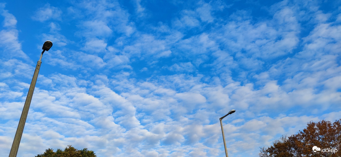 Hódmezővásárhely