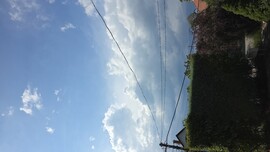 Balatonaliga