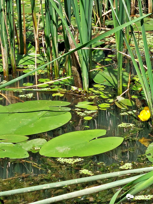 Tisza-tavi ökocentrum