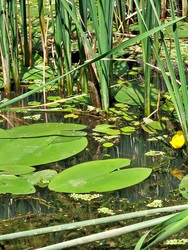 Tisza-tavi ökocentrum