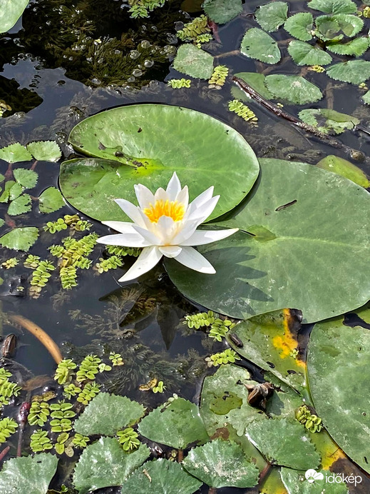 Tisza-tavi ökocentrum