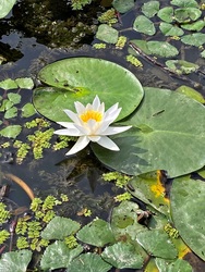 Tisza-tavi ökocentrum