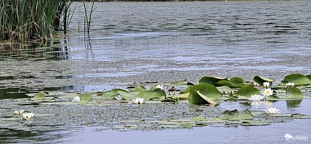 Tisza-tavi ökocentrum