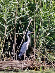 Tisza-tavi ökocentrum