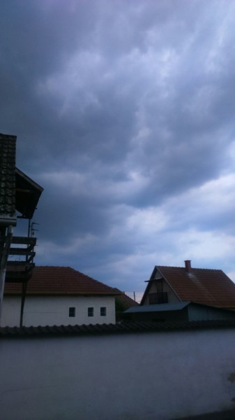 Sarud