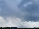 Sárisáp