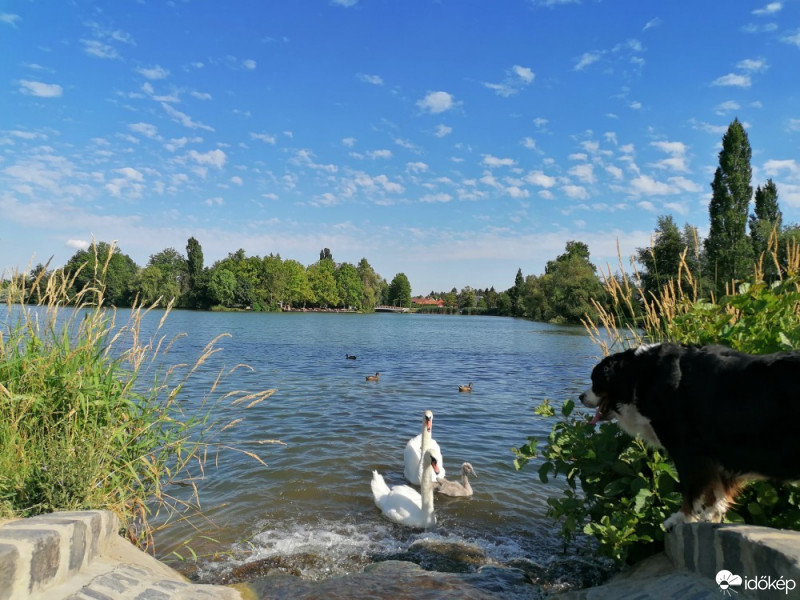 Szombathely