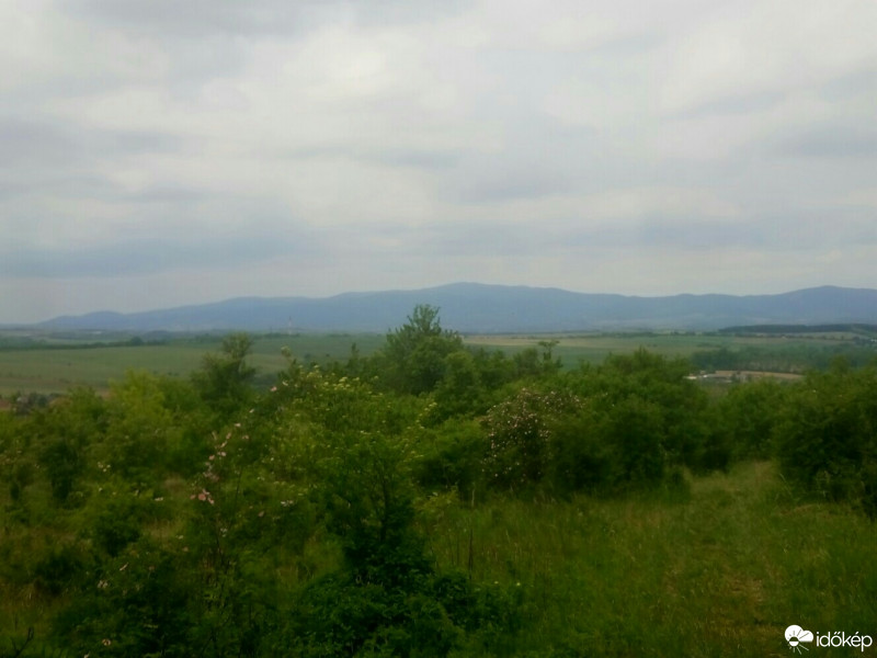 Bánk