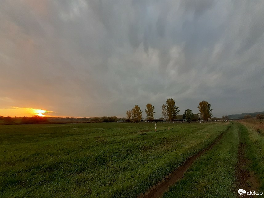 Romhány