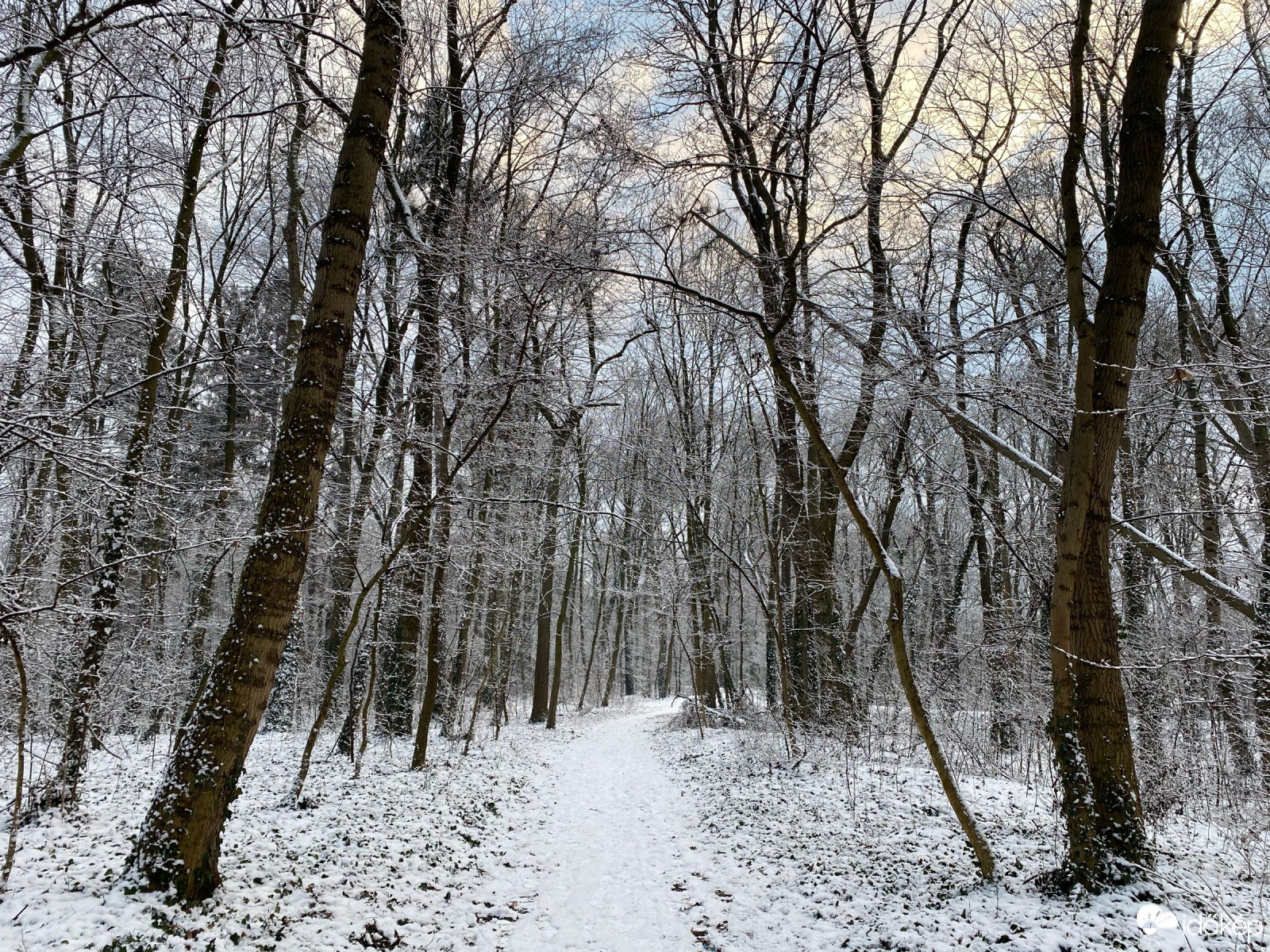 Mosonmagyaróvár