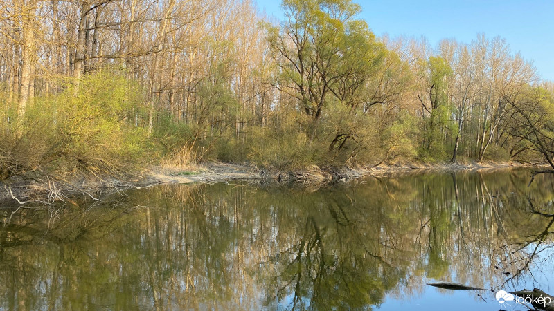 Ásványráró