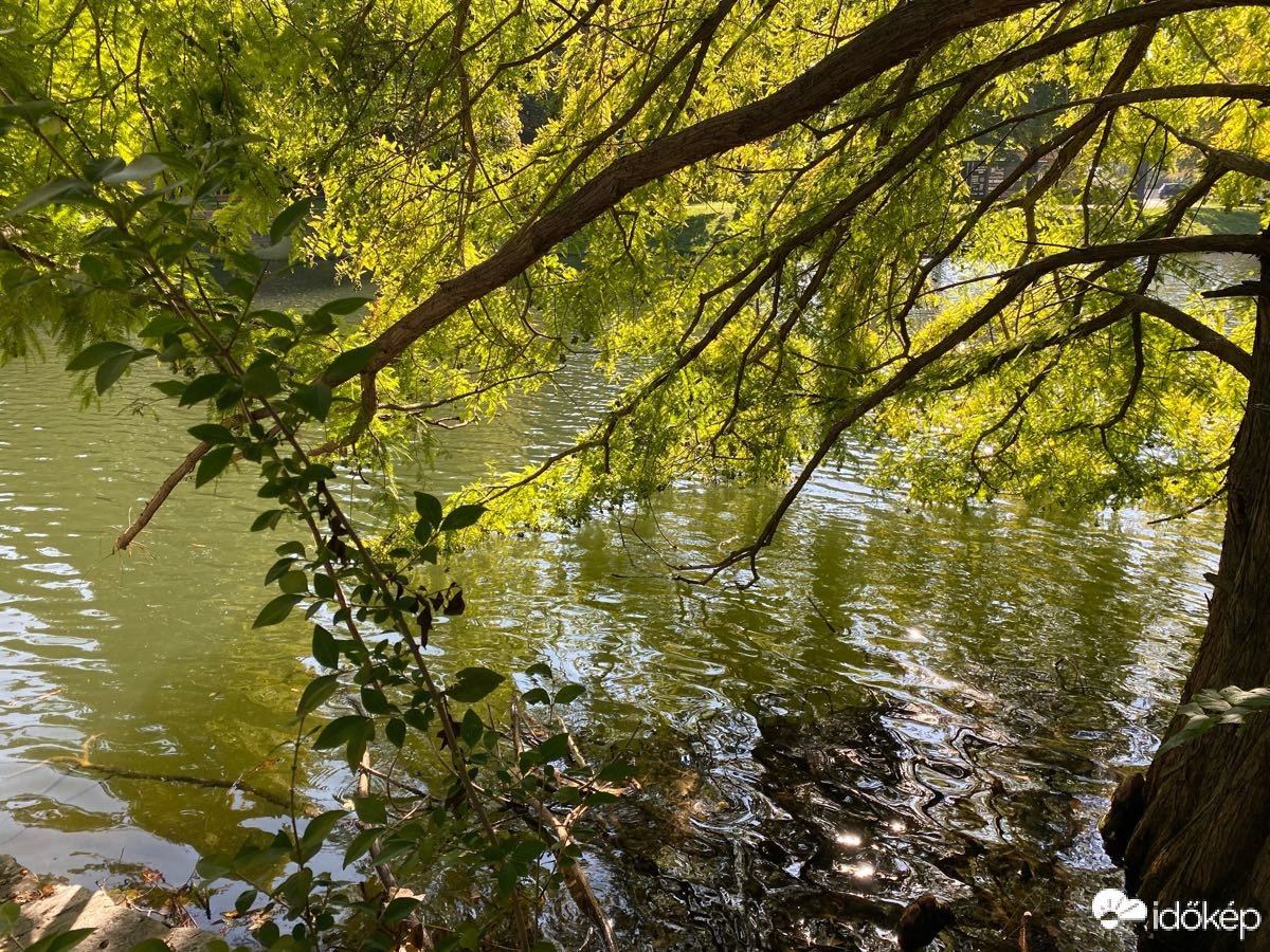 Mosonmagyaróvár