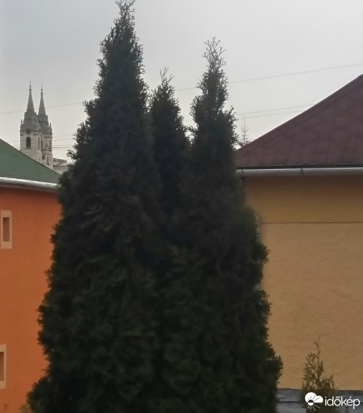Zirc