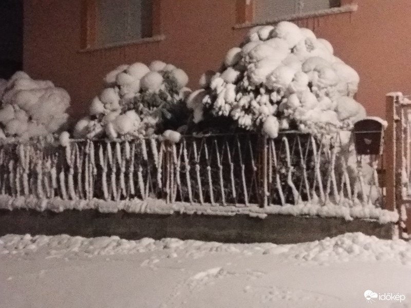 Olszfaluban Zirc térségi ipari havazása? Első" téli hóvirágok". 
