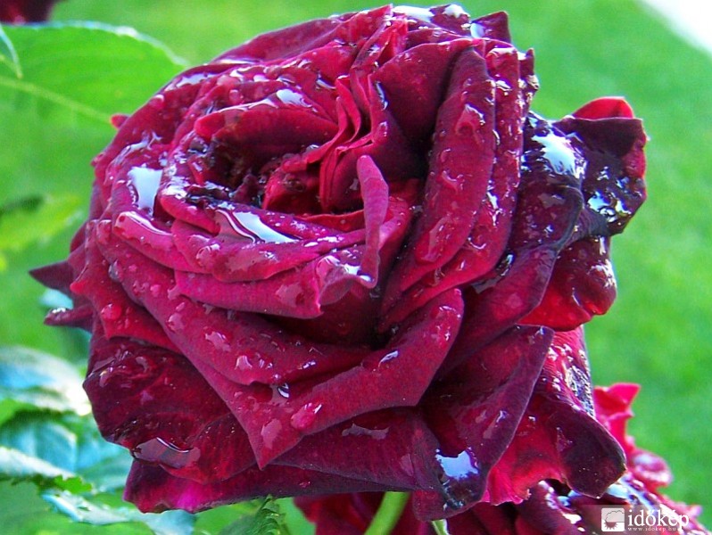 Frissülést jelentett a 