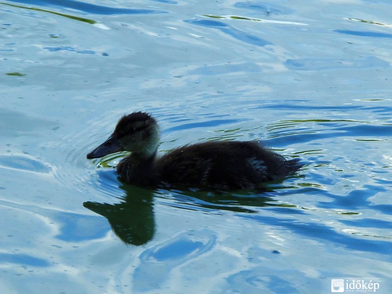 No és mennyivel könnyebb