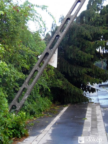 Esti vihar...kidőlt fák,