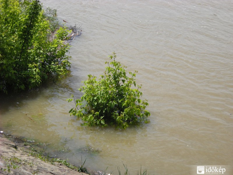 Vác 2010-05-20