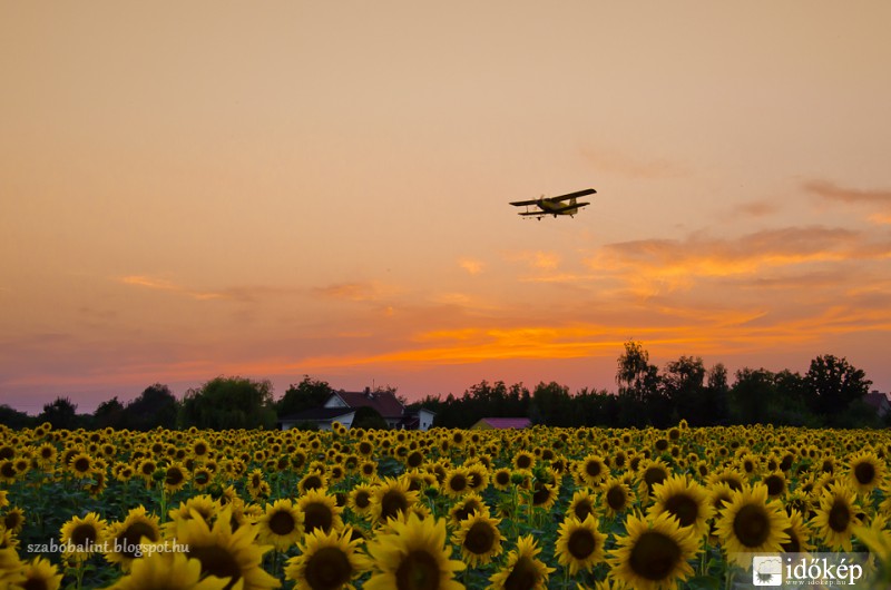 Alkonyati permetezés