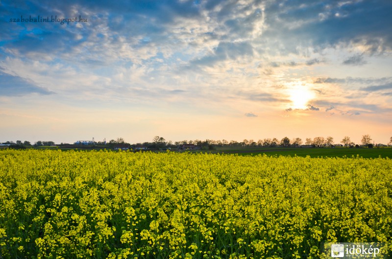 Késő délutáni fények.