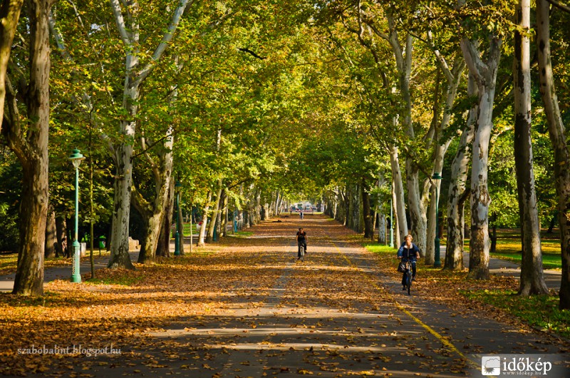Őszi alagút a ligetben