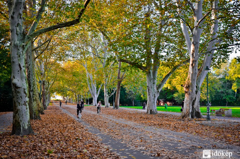 Az őszi Újszegedi Liget