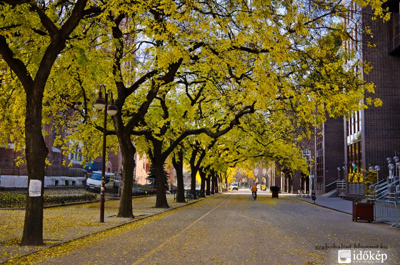 Őszi a szegedi Dóm téren