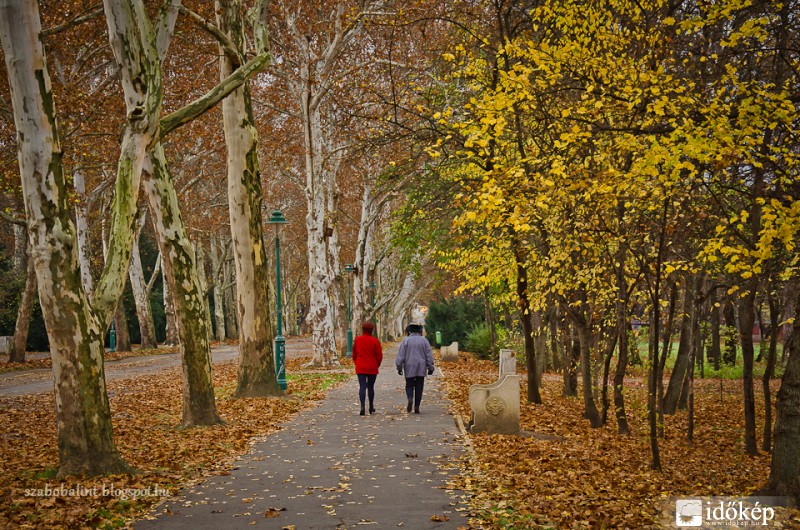 Őszi séta