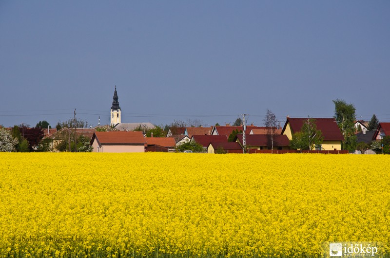 Repcemező Szegeden