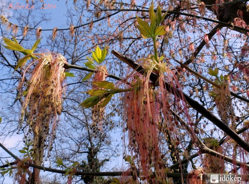 nem hétköznapi... :)