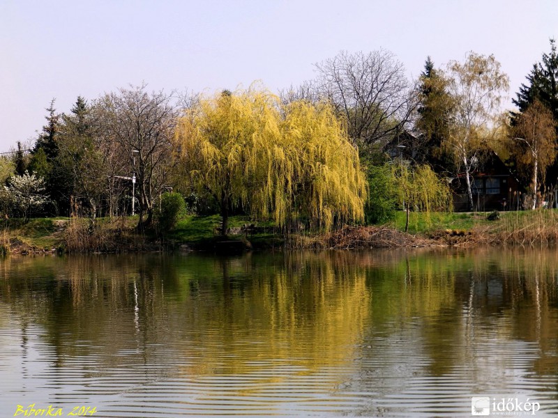 tavasz a Dunán