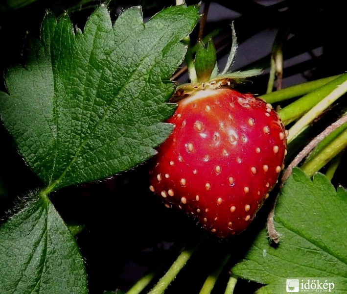 eper május 10-én....:)