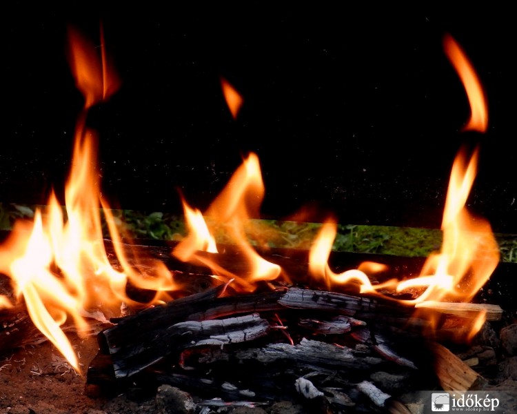 kis szívet melengető.... 