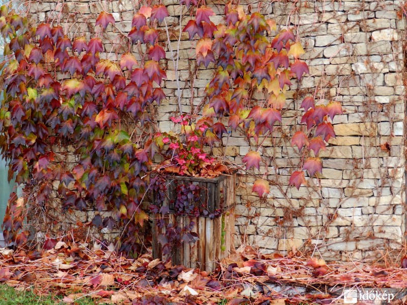 beleolvadva.... az őszbe