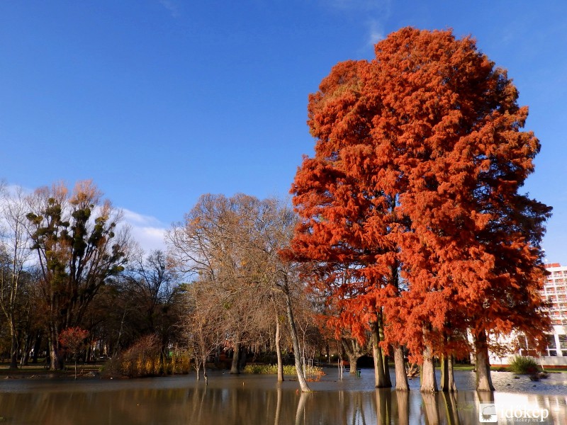a keszthelyi sétány víz alatt