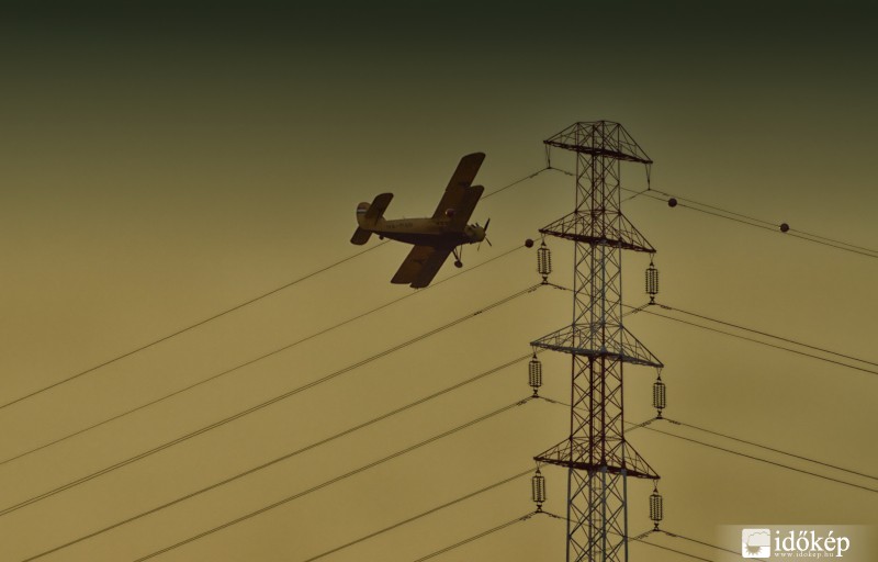 Kamikáze pilot