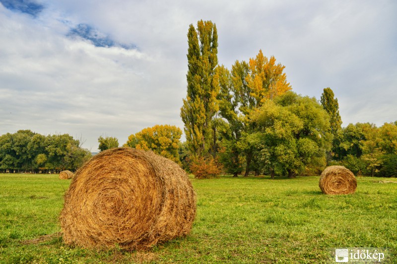 Szalmabálák