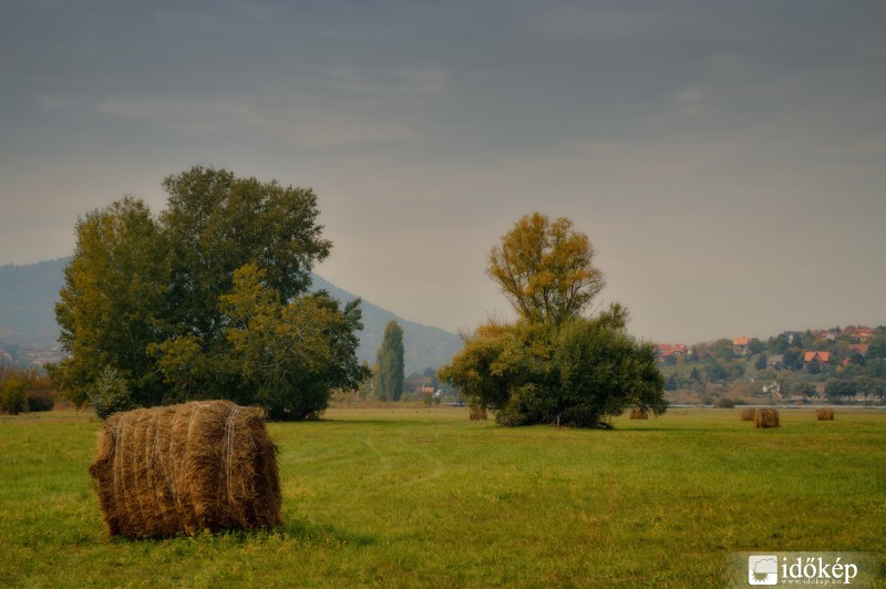 Őszi csendélet