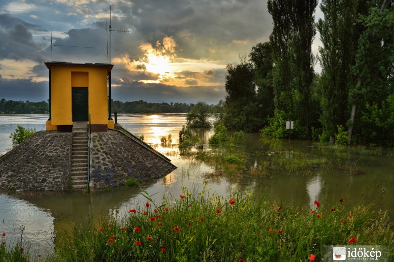 Elázva