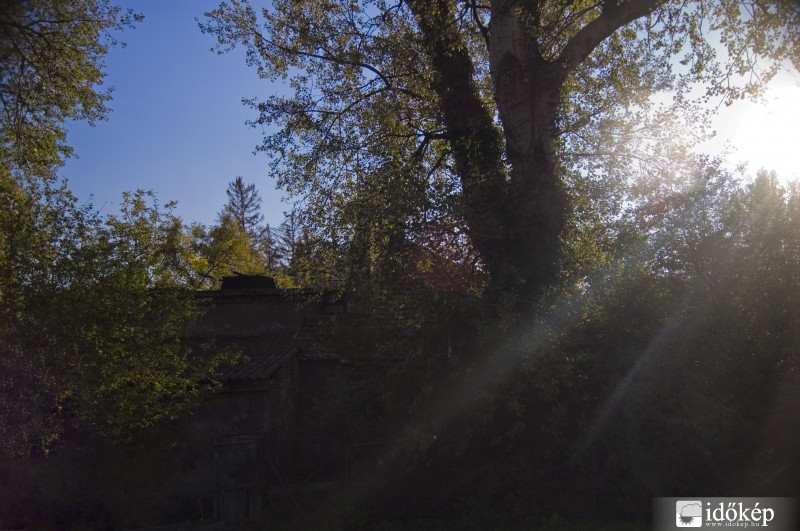 Őszi napsugarak