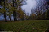 Novemberi 1. 