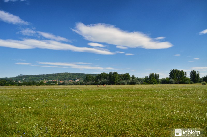 Békásmegyeri rét