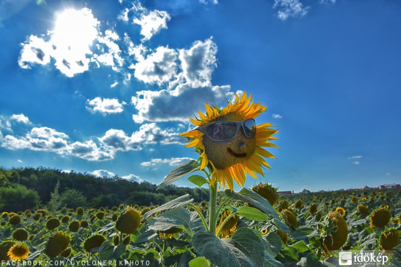 Sunshine