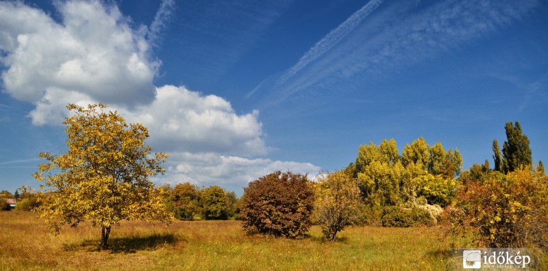 Sárguló táj