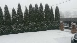 Pilis