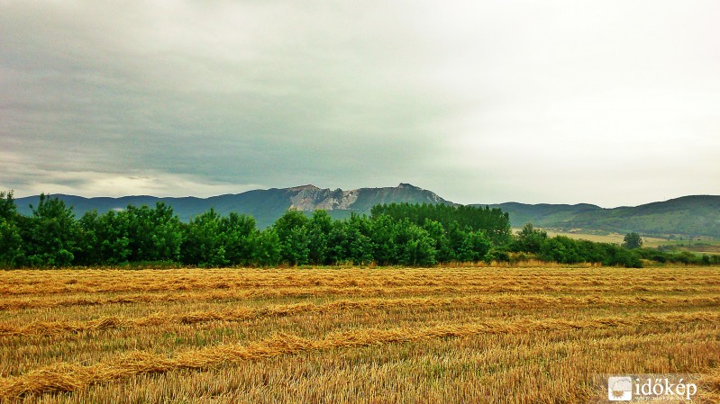 Mikófalva
