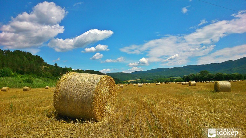 Mikófalva