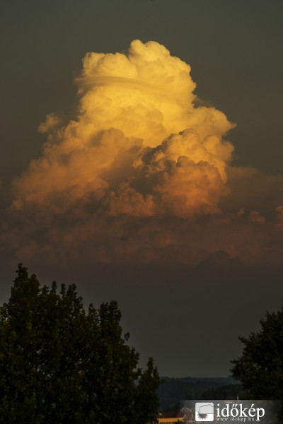 Pulse-type Kaposvárról