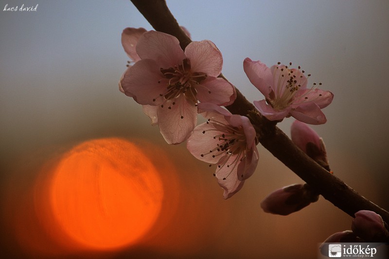 Márciusi naplemente