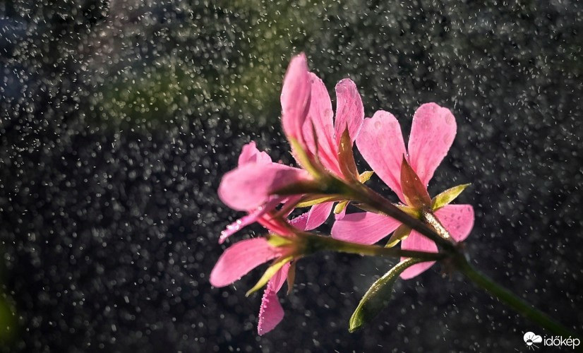 Budapest IV.ker - Újpest